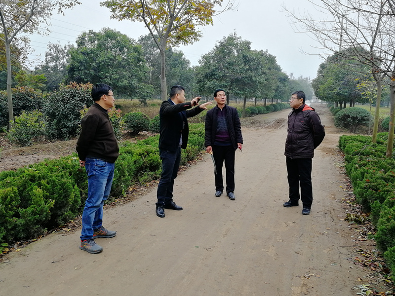 植物病虫害防治专家曹总赴高陵苗圃指导工作