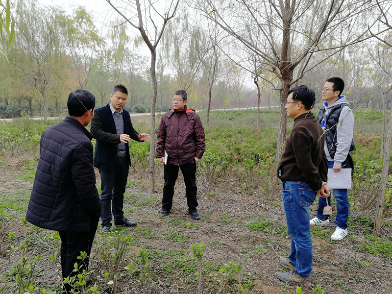 植物病虫害防治专家曹总赴高陵苗圃指导苗木病虫害以及防冻工作